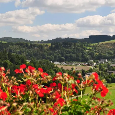 Haus Hubertus * Willingen