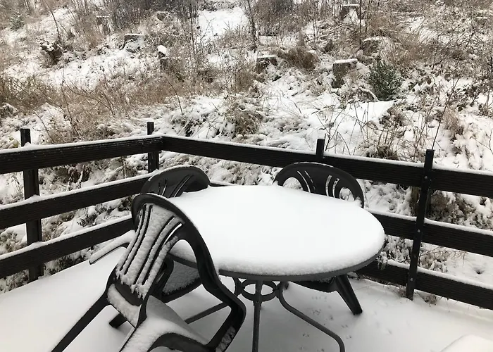 Haus Hubertus شقة فيلنغن