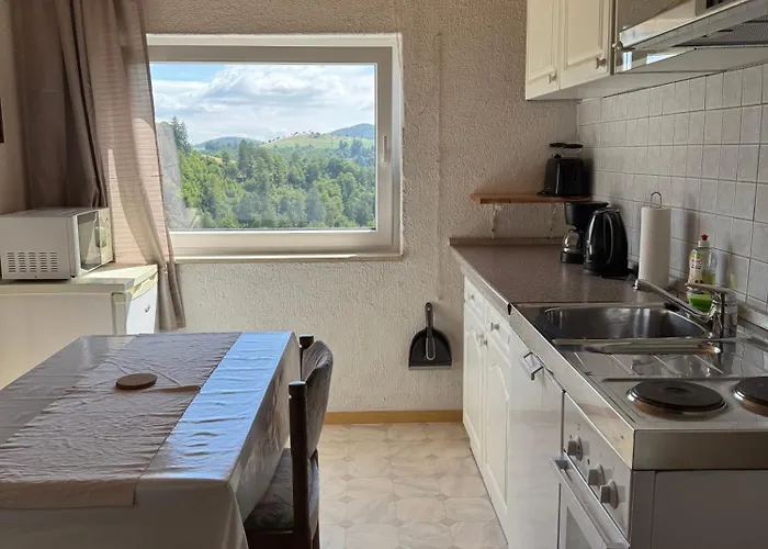 아파트 Haus Hubertus 빌링겐