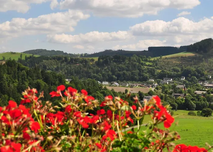 Haus Hubertus * 빌링겐